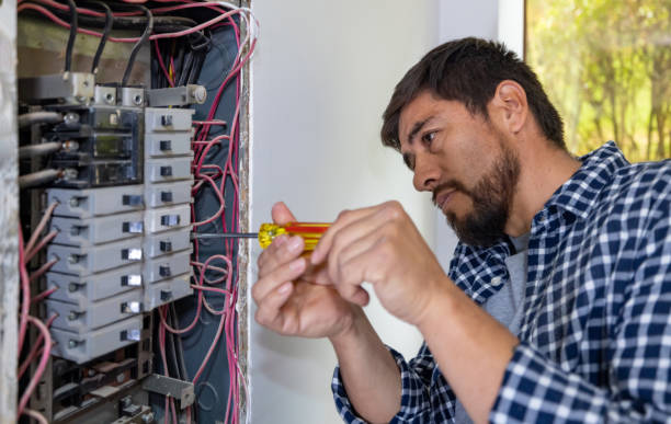 Best Electric Panel Repair  in Nevada, MO